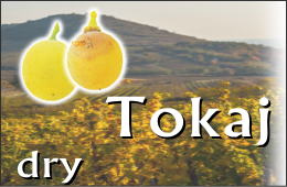 tokaj_dry