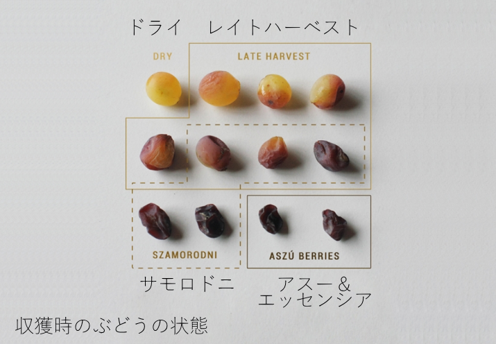 収穫時のぶどうの状態