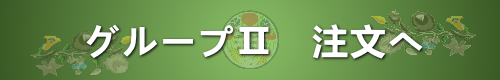グループⅡ 注文へ